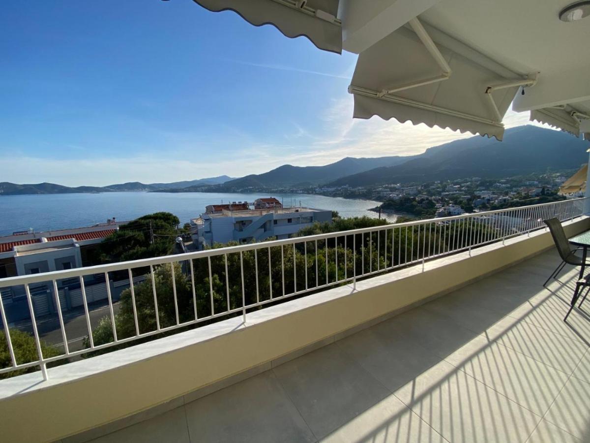Hilltop Luxury Apartment Palaiontsiflikion